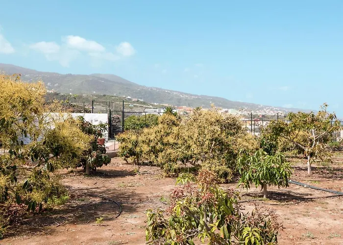 Casa Quemahierro 2 Vakantiehuis Icod De Los Vinos